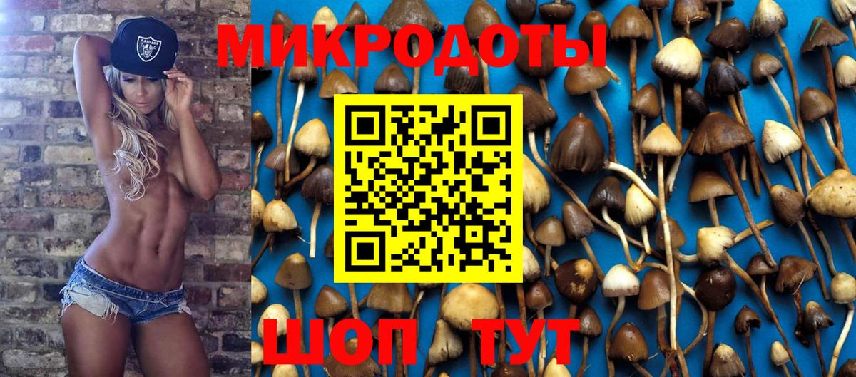 Галлюциногенные грибы мухоморы  Вход с VPN  Северобайкальск  Галлюциногенные грибы Cubensis 