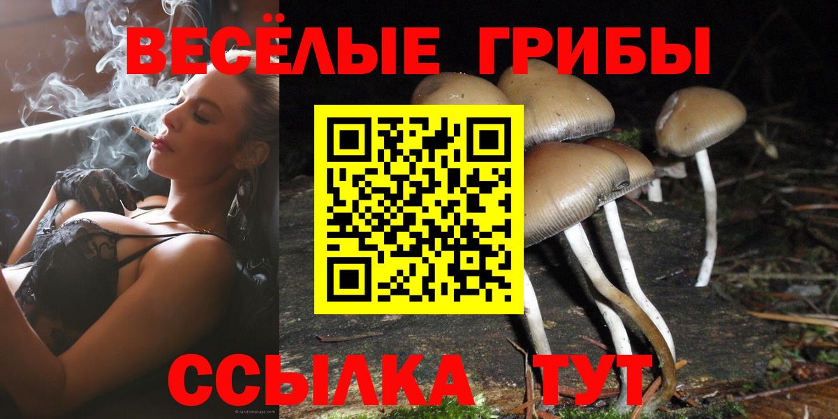 Галлюциногенные грибы GOLDEN TEACHER Северобайкальск